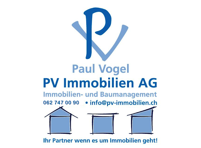 PV Immobilien AG