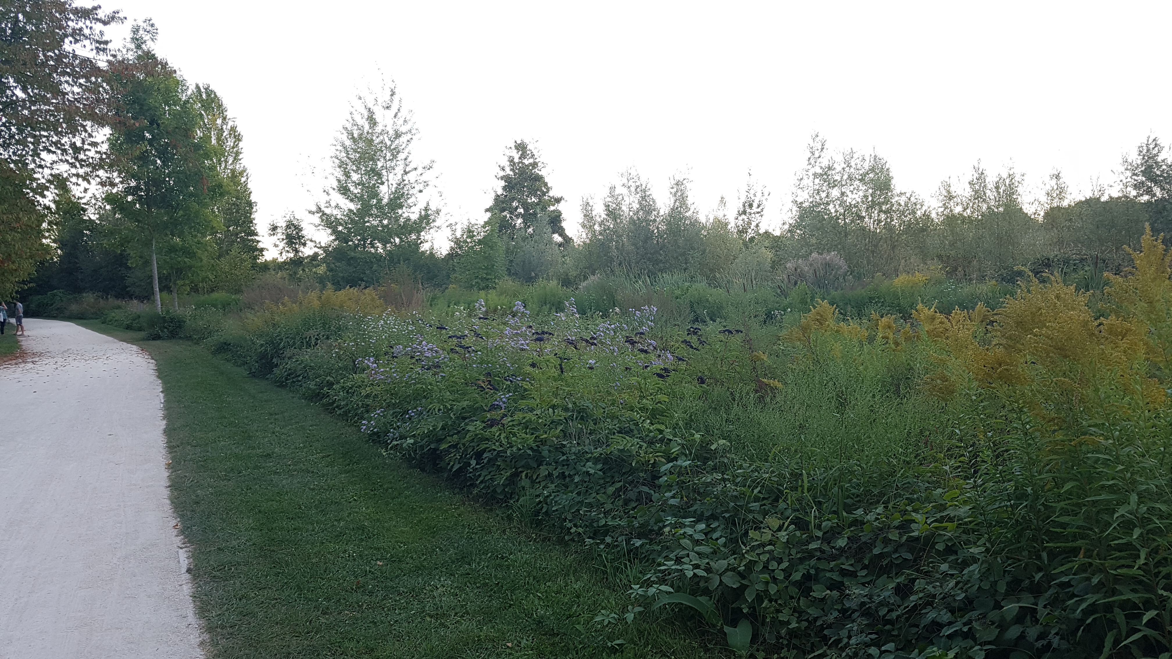 Photo n° 5 de l'avis de Sanjy.u fait le 20/09/2019 à 13:45