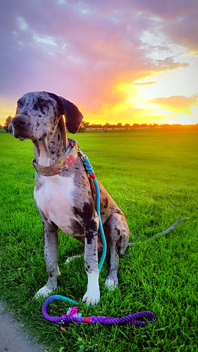 Park «Olympic Park», reviews and photos, 15501 E Yale Ave, Aurora, CO 80013, USA