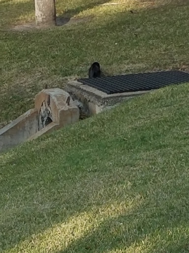 Dry Cleaner «Sterling Cleaners & Laundry», reviews and photos, 2645 Ulmerton Rd, Clearwater, FL 33762, USA