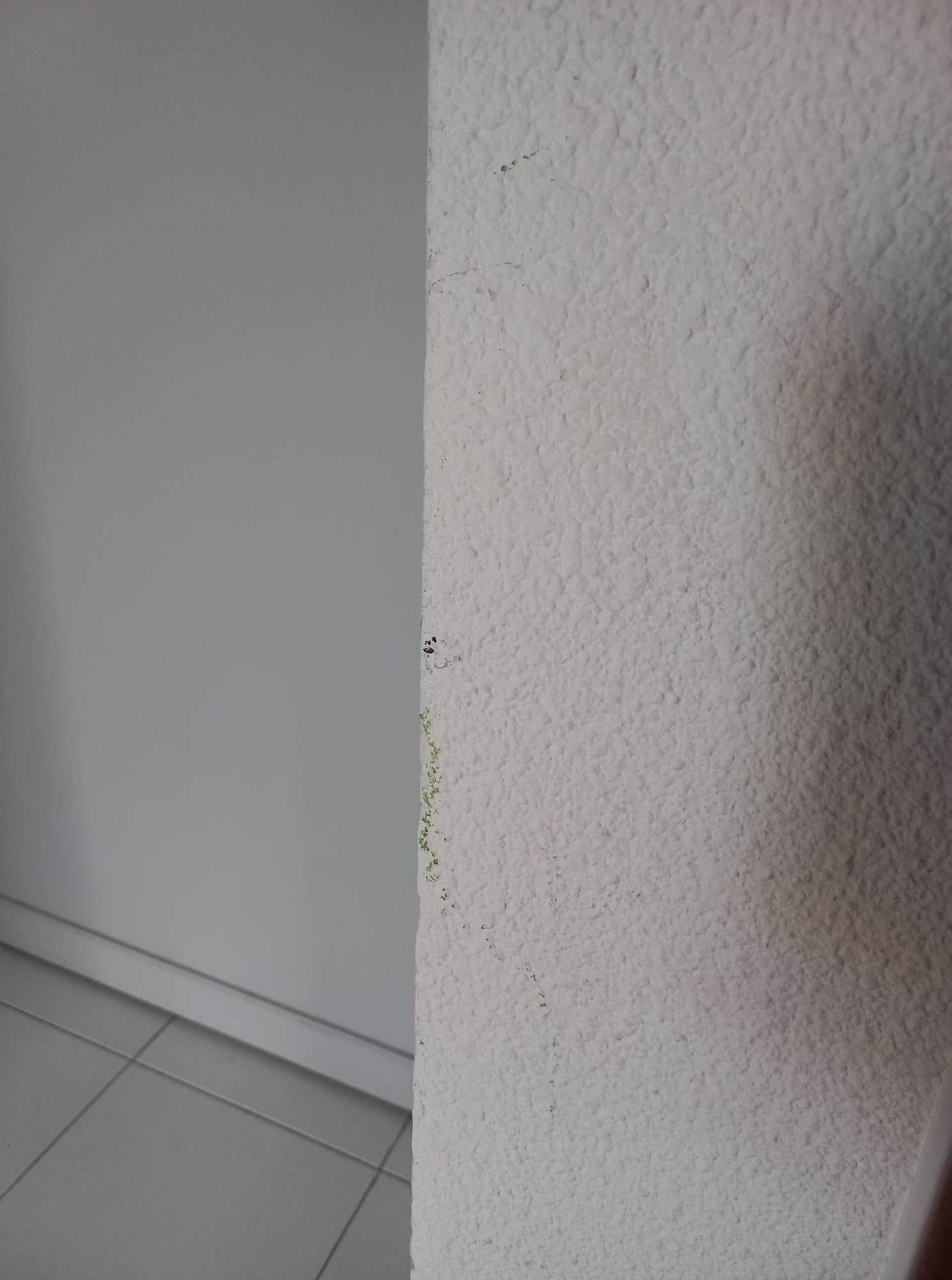Photo n° 32 de l'avis de Matas.a fait le 30/05/2022 à 09:54