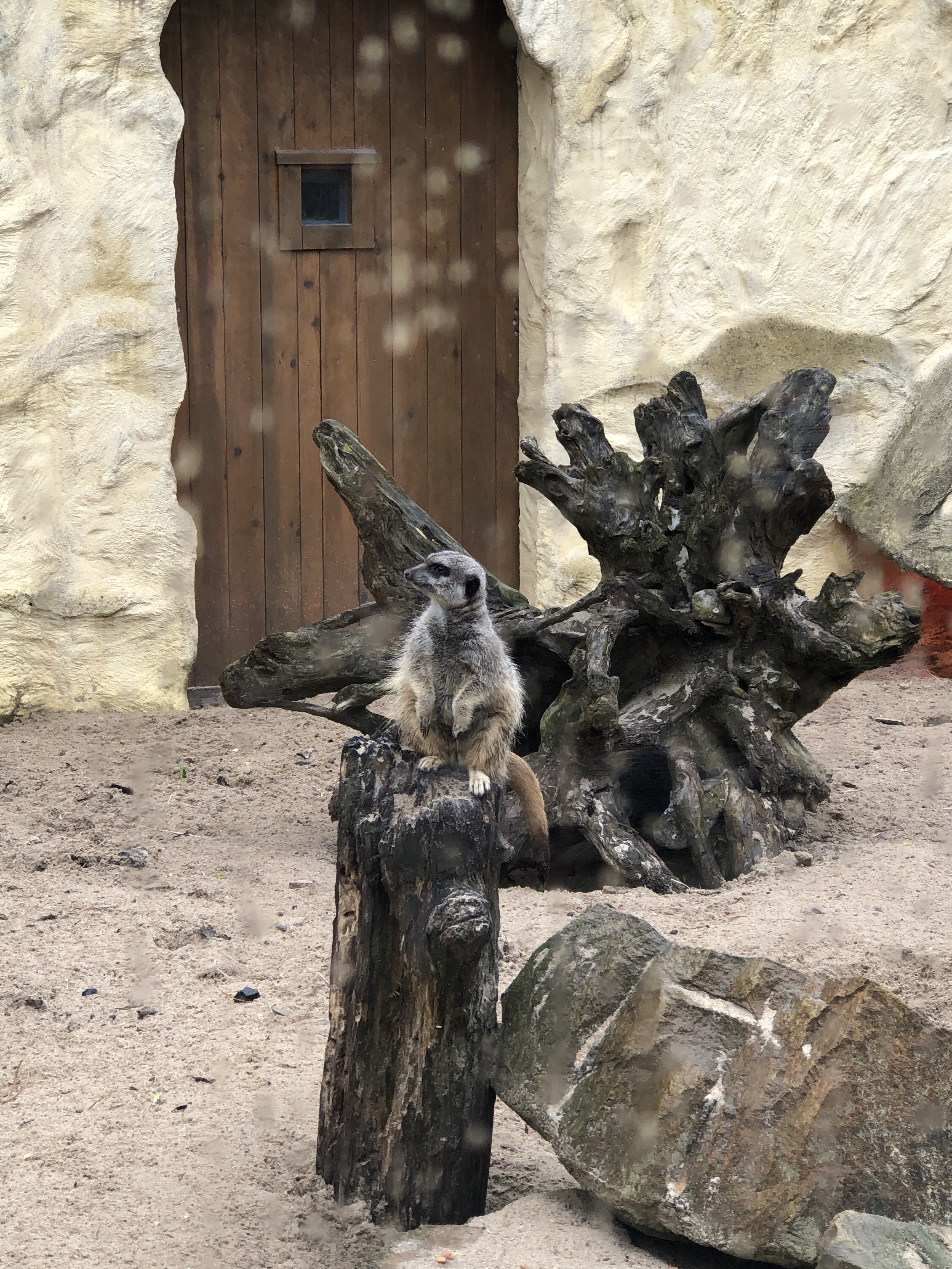 Photo n° 7 de l'avis de R. fait le 25/04/2023 à 06:22