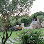 Photo n°3 de l'avis de Tiziana.o fait le 03/07/2021 à 21:03 sur le  Ristorante Antica Gallura à Arzachena