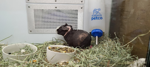 Pet Supply Store «Petco Animal Supplies», reviews and photos, 2765 Santa Rosa Ave, Santa Rosa, CA 95407, USA