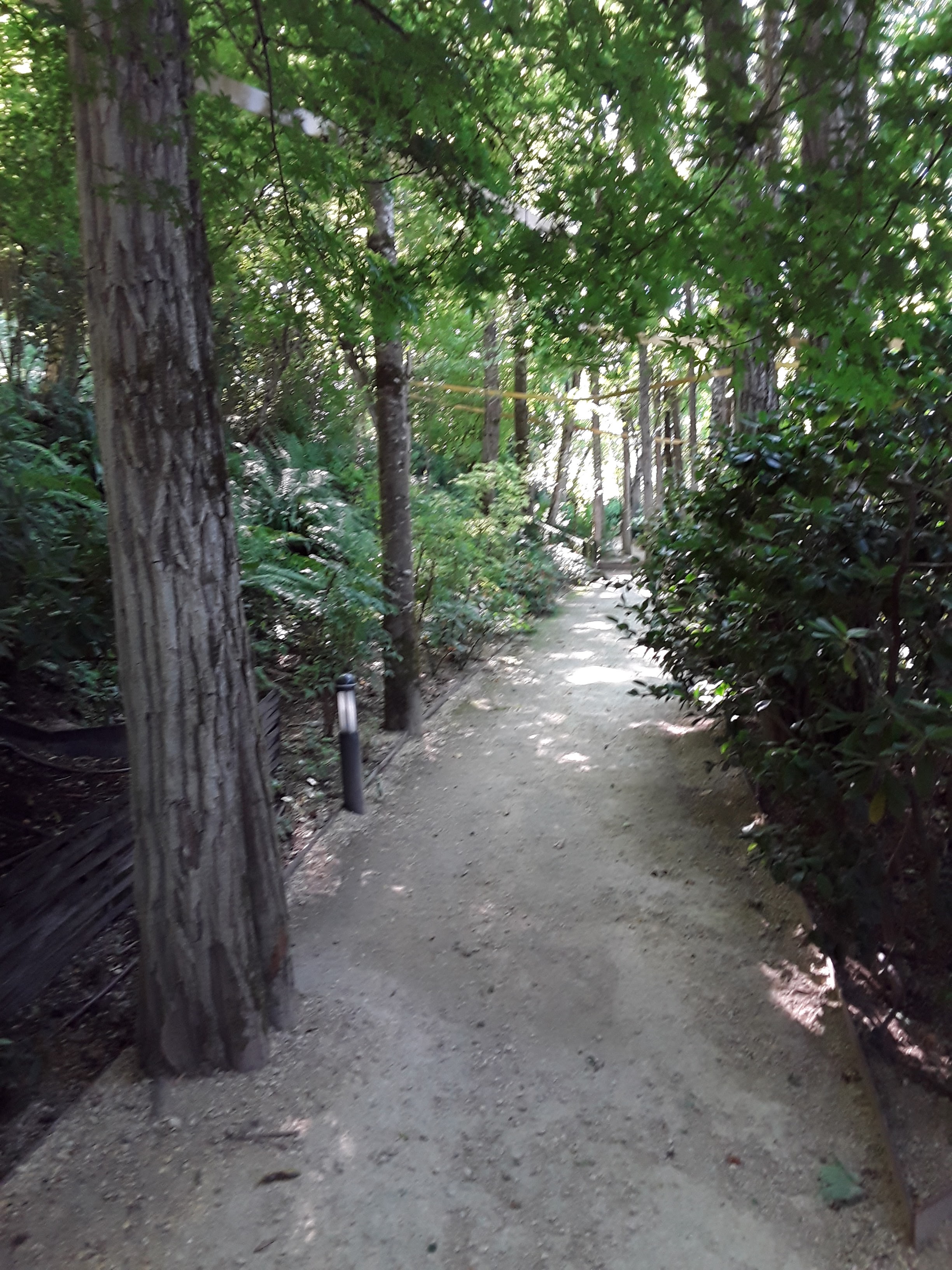 Photo n° 14 de l'avis de Fabien.e fait le 02/09/2019 à 17:51