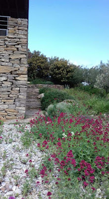 Clos d'Ora à La Livinière