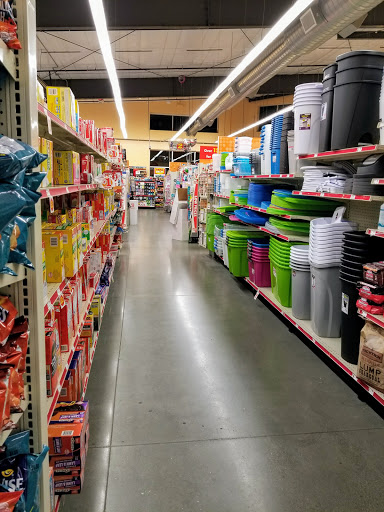 Dollar Store «FAMILY DOLLAR», reviews and photos, 1001 CA-12, Rio Vista, CA 94571, USA