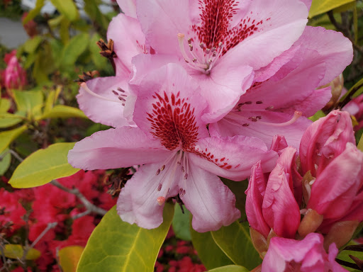 Golf Course «Kayak Point Golf Course», reviews and photos, 15711 Marine Drive NE, Stanwood, WA 98292, USA