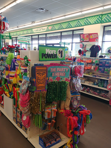 Dollar Store «Dollar Tree», reviews and photos, 821 Industrial Blvd Ste 1110, Smyrna, TN 37167, USA