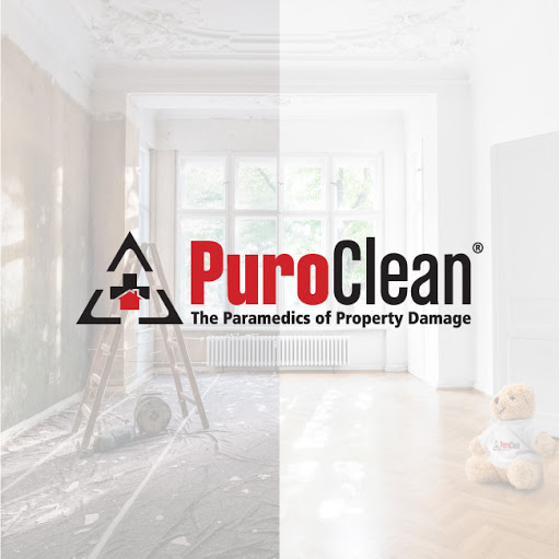 PuroClean Emergency Services