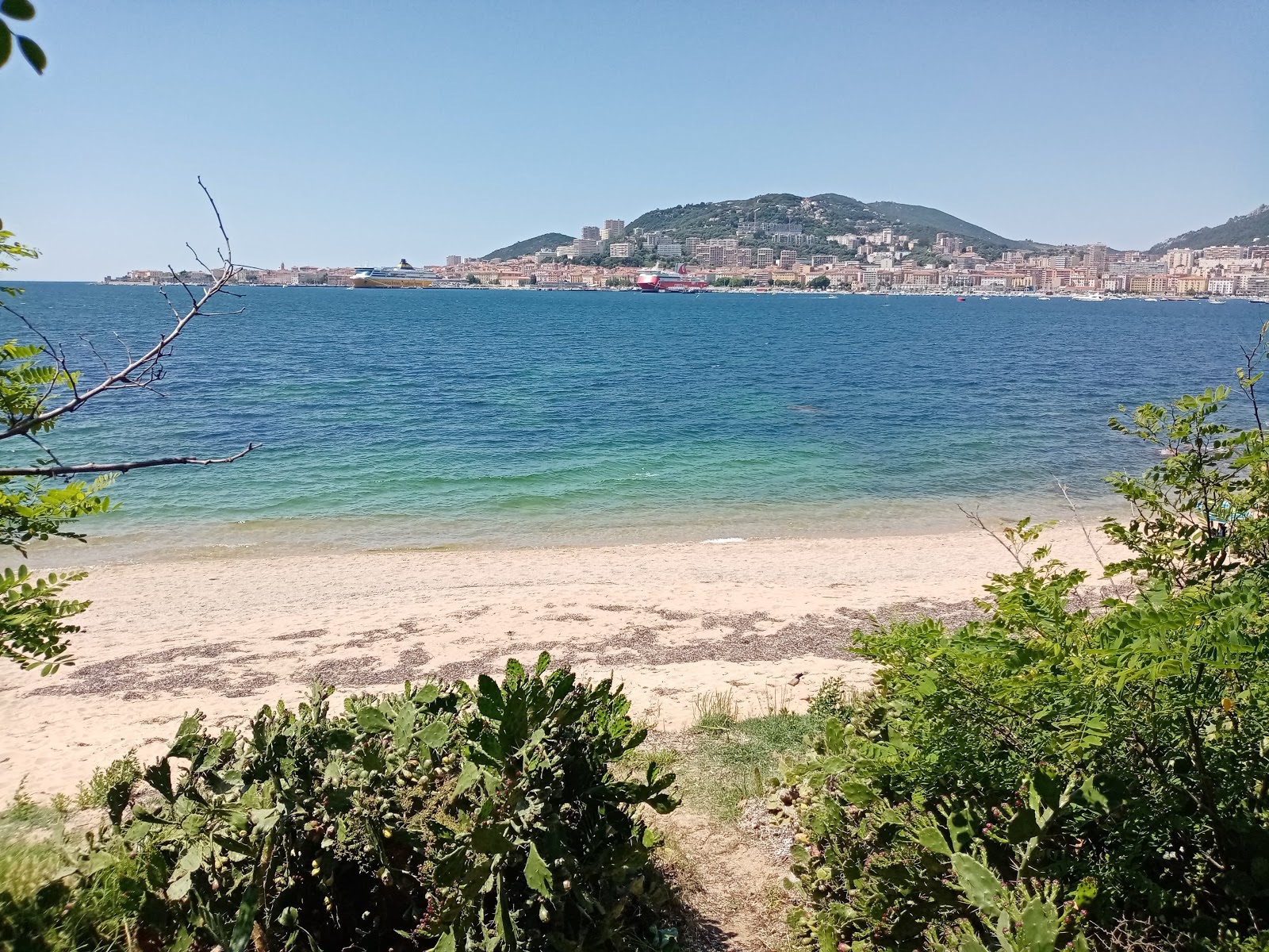 Corse Azur'in fotoğrafı turkuaz saf su yüzey ile