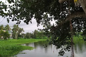 Krishnakanta Pond image