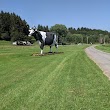 The Big Cow