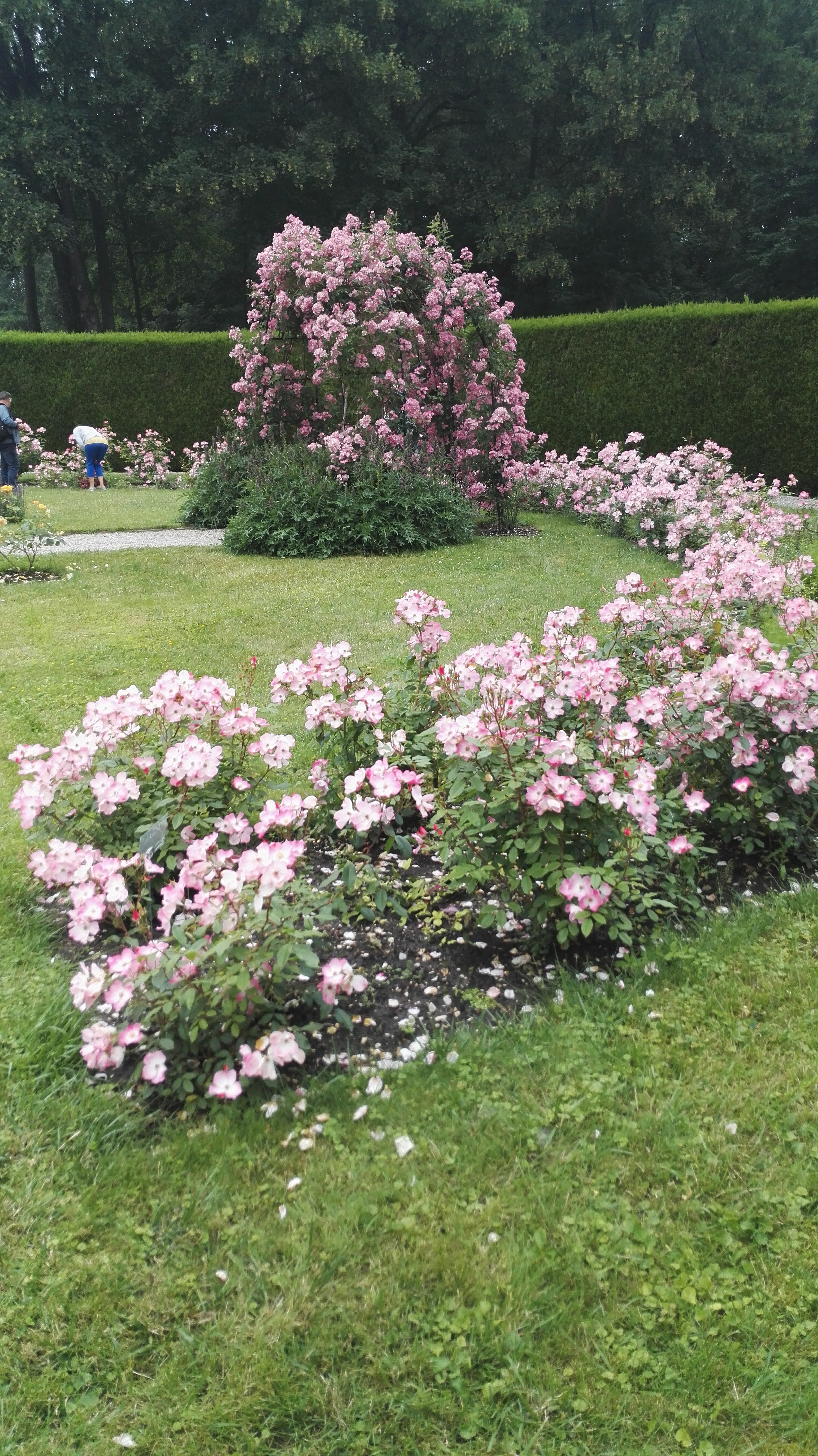 Photo n° 24 de l'avis de Alain.A fait le 11/06/2018 à 21:13