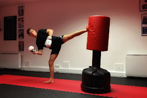Astons Kickboxing Academy image