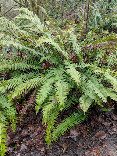 Nature Preserve «Tacoma Nature Center», reviews and photos, 1919 S Tyler St, Tacoma, WA 98405, USA