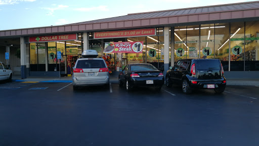 Dollar Store «Dollar Tree», reviews and photos, 1350 S Park Victoria Dr #10, Milpitas, CA 95035, USA