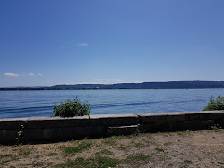 Foto di Plage Saint-Joux area servizi