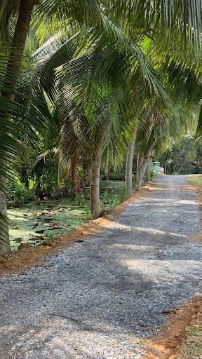 Top 20 cửa hàng cây kiểng Huyện Ba Vì Hà Nội 2022