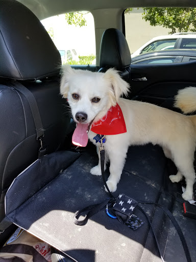 Pet Supply Store «PetSmart», reviews and photos, 30515 Av. de Las Flores, Rancho Santa Margarita, CA 92688, USA