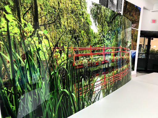 Photo Lab «Art Plex Photo / Alex Kay gallery», reviews and photos, 245 NE 183rd St, North Miami Beach, FL 33179, USA