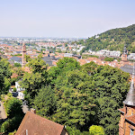 Photo n°1 de l'avis de andrea.a fait le 05/08/2022 à 12:23 sur le  Hotel-Restaurant Hackteufel Heidelberg à Heidelberg