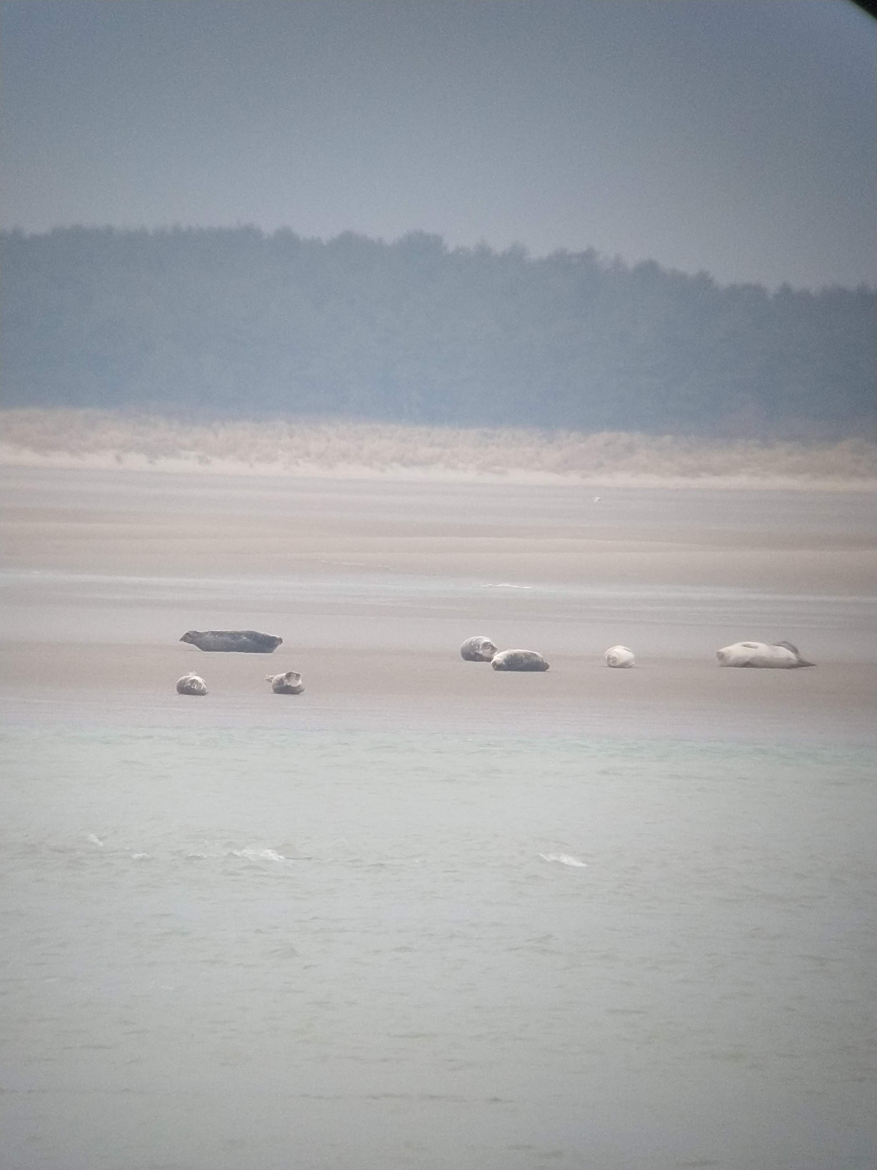 Photo n° 5 de l'avis de Bea.. fait le 25/02/2020 à 11:04