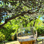 Photo n° 2 de l'avis de sophie.o fait le 30/05/2024 à 21:04 pour Restaurant L'Escale des Vins à Lambesc