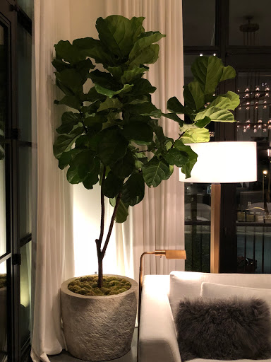 Interior Designer «Restoration Hardware», reviews and photos, 2126 Abbott Martin Rd #265, Nashville, TN 37215, USA