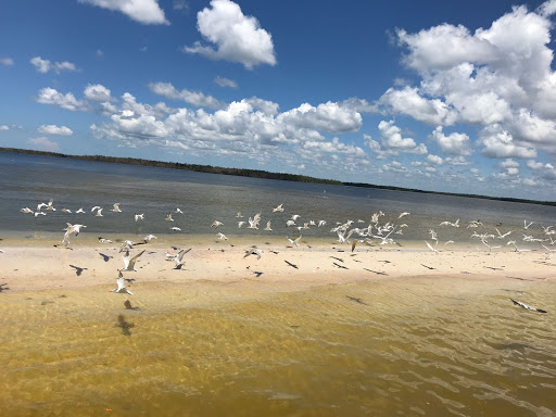 Tour Agency «Everglades National Park Boat Tours», reviews and photos