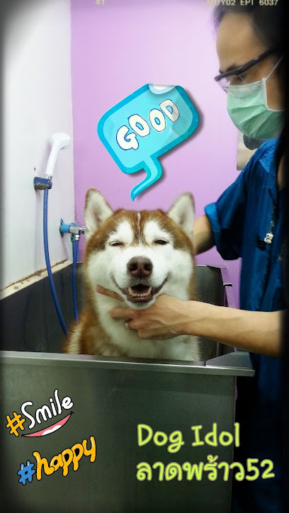 Dog Idol อาบน้ำตัดขนสุนัขแมว ลาดพร้าว52