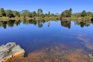 Anodard Pond image