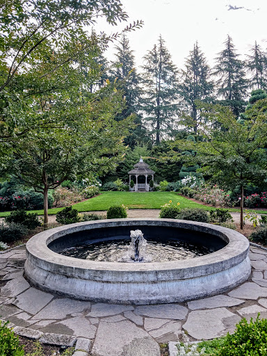 Park «Woodland Park Rose Garden», reviews and photos, 750 N 50th St, Seattle, WA 98103, USA