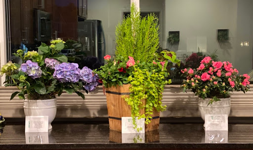 Florist «Stadium Flowers», reviews and photos, 3632 Broadway, Everett, WA 98201, USA