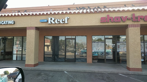 Tropical Fish Store «Club Reef», reviews and photos, 1829 E Southern Ave, Tempe, AZ 85282, USA