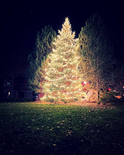 Ottawa Valley Christmas Lights