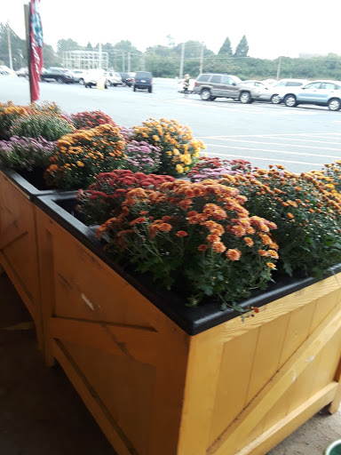 Grocery Store «Grocery Outlet Bargain Market», reviews and photos, 3 Parkside Ave, Shillington, PA 19607, USA