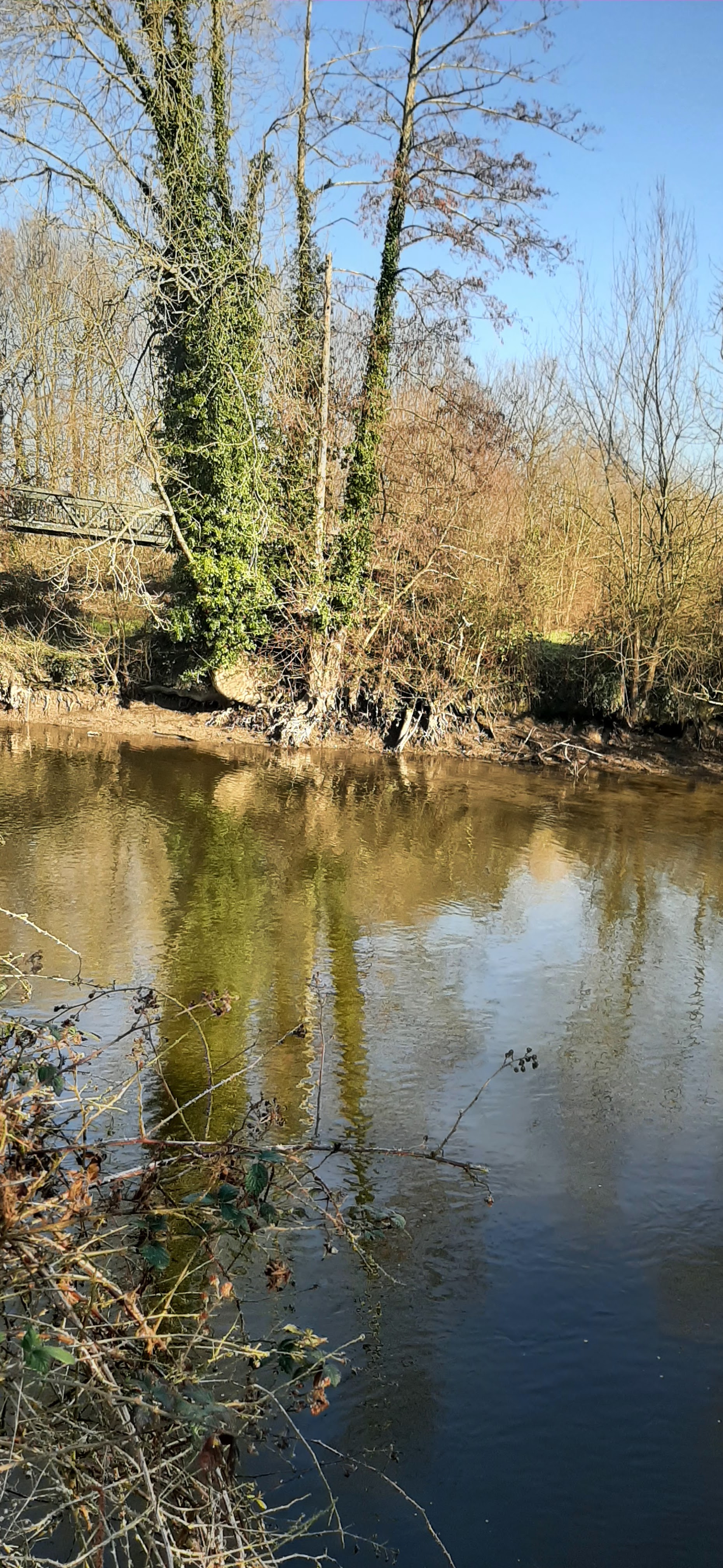 Photo n° 1 de l'avis de balouin.r fait le 11/03/2023 à 00:21