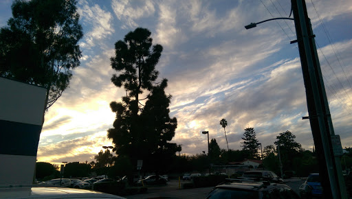 Sporting Goods Store «Big 5 Sporting Goods», reviews and photos, 3121 Wilshire Blvd, Santa Monica, CA 90403, USA