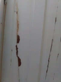 Shamrock mobile car detailing, cleaning, & handyman services - Photo 5 - Car repair in , Brockton