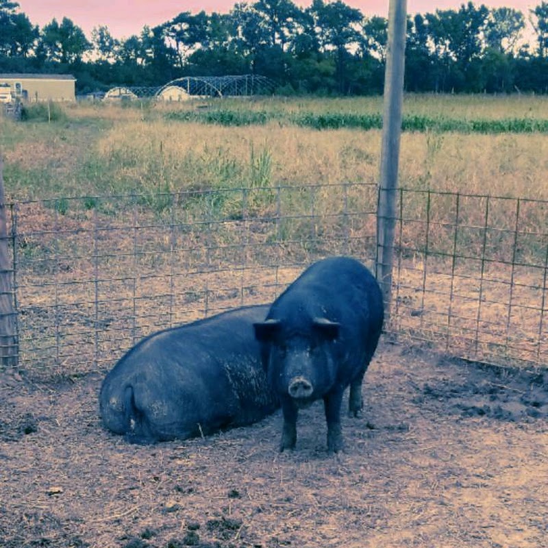 Brothers Farm Market