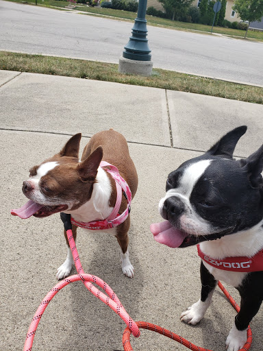 Pet Supply Store «Paws Stop», reviews and photos, 8909 Pendleton Pike, Indianapolis, IN 46226, USA