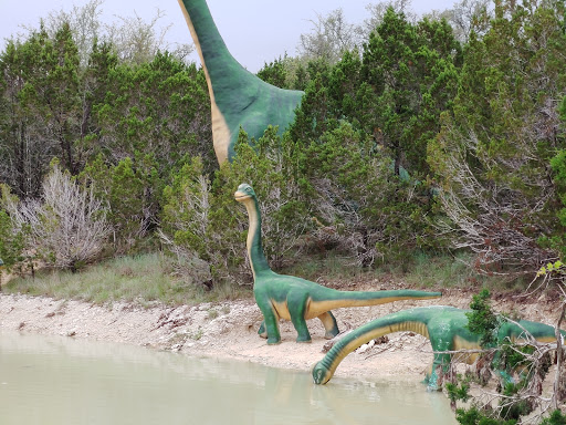 Museum «Dinosaur World», reviews and photos, 1058 Park Rd 59, Glen Rose, TX 76043, USA