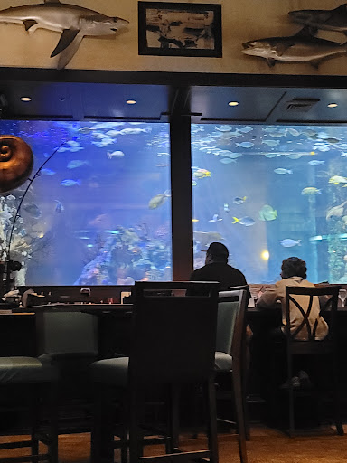 Sporting Goods Store «Bass Pro Shops», reviews and photos, 7777 Victoria Gardens Ln, Rancho Cucamonga, CA 91739, USA