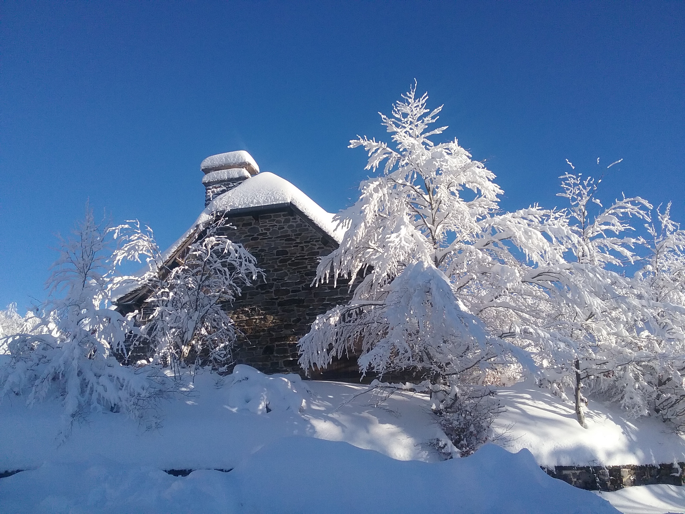 Photo n° 2 de l'avis de Gerard.a fait le 27/01/2021 à 19:29