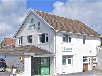 Gower Veterinary Surgery - Swansea