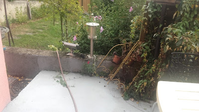 Meteo France Dirne à Épinal