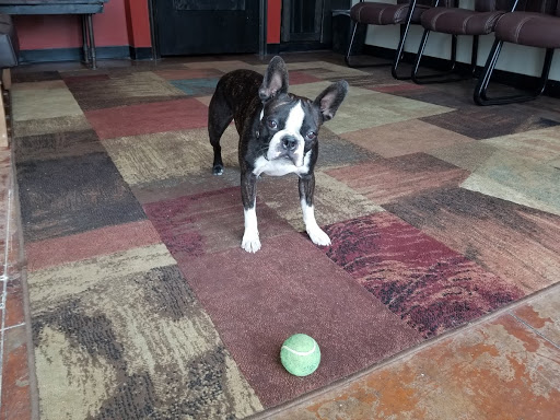 Auto Body Shop «LMC Complete Automotive & Collision Repair», reviews and photos, 23018 Aldine Westfield Rd, Spring, TX 77373, USA