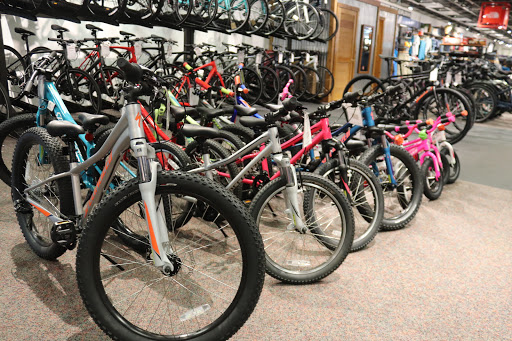 Outdoor Sports Store «Alpine Shop - Kirkwood, MO», reviews and photos, 440 N Kirkwood Rd, Kirkwood, MO 63122, USA