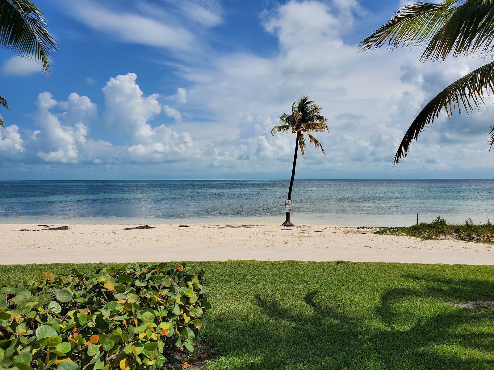 Foto de Bayshore Rd beach con agua cristalina superficie